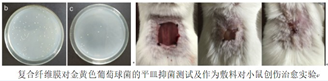 可调控缓释性能的高效生物抑菌纤维膜